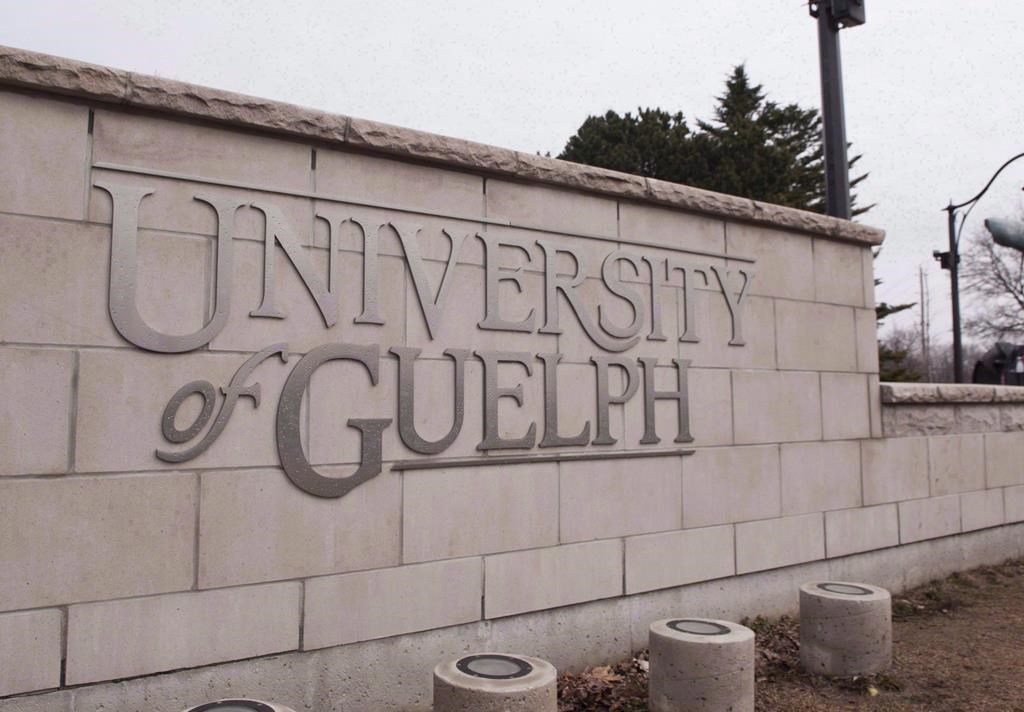 The residence waitlist for University of Guelph is over 1300 names long. (CityNews File Photo.)
