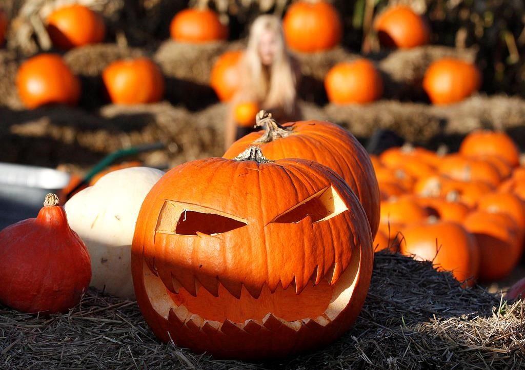 Customers choose pumpkins on Halloween at a pumpkin farm in Wilanow, near Warsaw, Poland, on October 31, 2018.