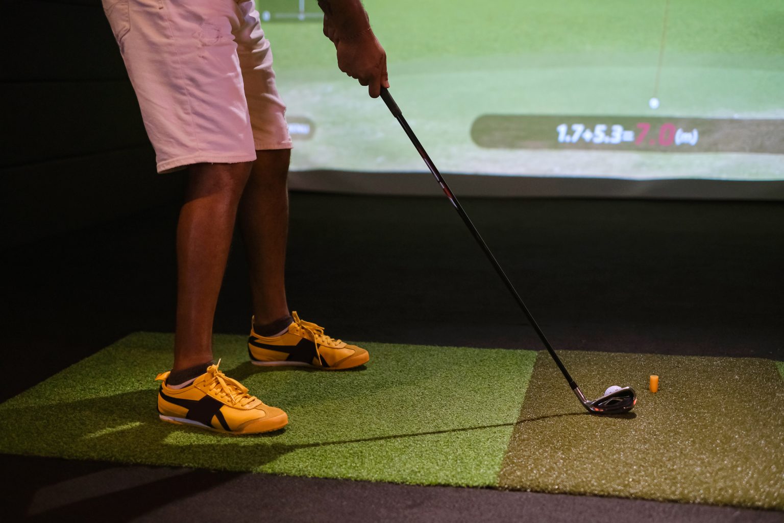 Golfplay provides a fun experience for golfers and nongolfers alike