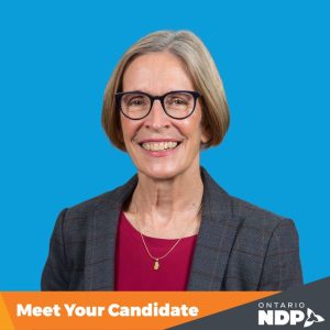 Debbie Chapman To Run For Ndp In Kitchener Centre By-election 