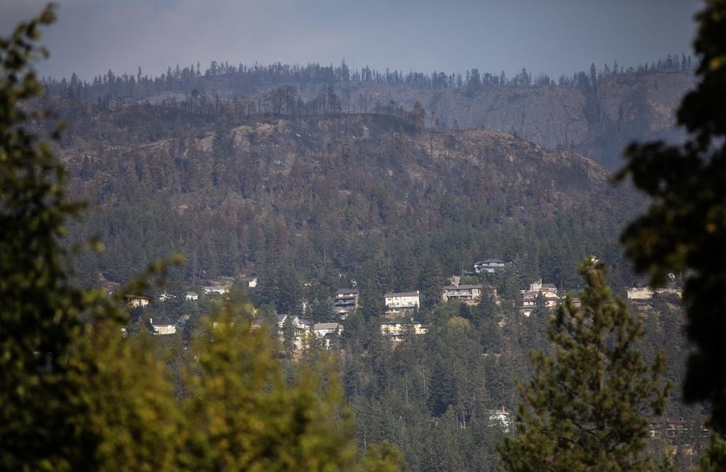 Most Evacuation Orders Alerts Lifted In B C S Okanagan Wildfires Citynews Kitchener