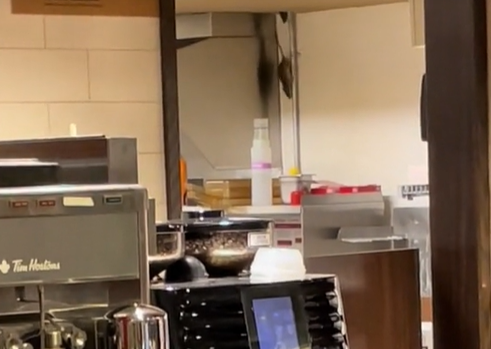 Image from video posted on social media allegedly showing rats at Tim Hortons in the Student Life Centre at the University of Waterloo