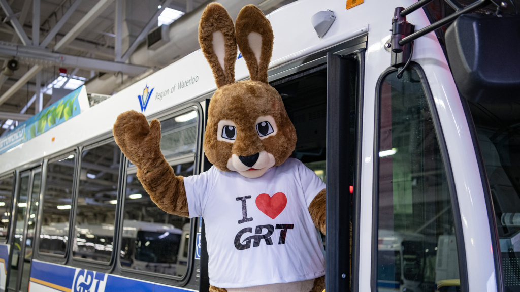 A rabbit mascot standing on a Grand River Transit bus in a shirt that says "I heart GRT"