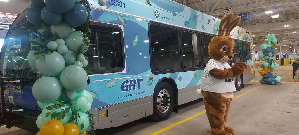 Ryder the bunny, GRT's new mascot stands next to region's first electric bus Jan. 26, 2024. //Justine Fraser, CityNews 570