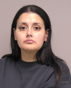 Police on the lookout for woman involved in vehicle fraud investigation