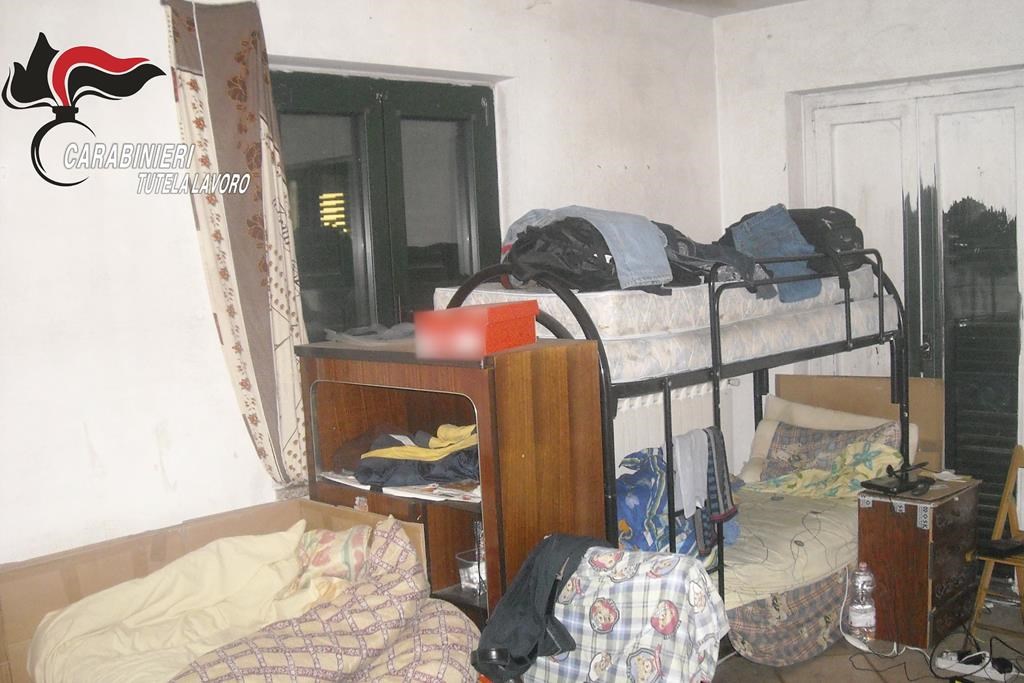 How Do You Say Bunk Bed in Italian: Easy Guide to Learn Quickly
