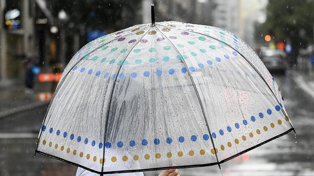 A person holds an umbrella. THE CANADIAN PRESS/Graham Hughes