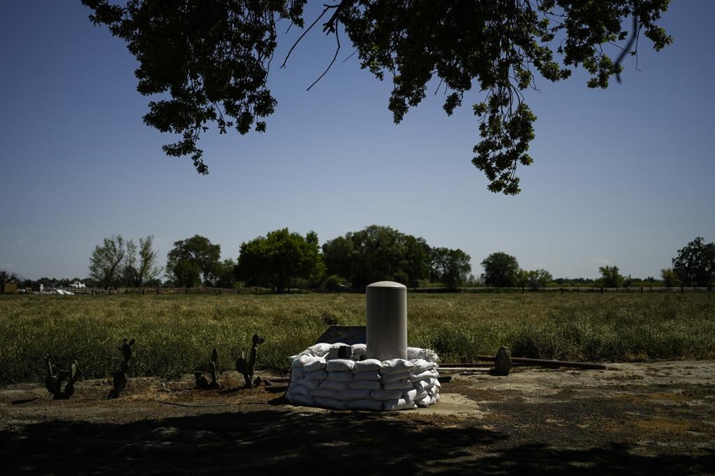 Crop-rich California region may fall under state monitoring to preserve groundwater flow