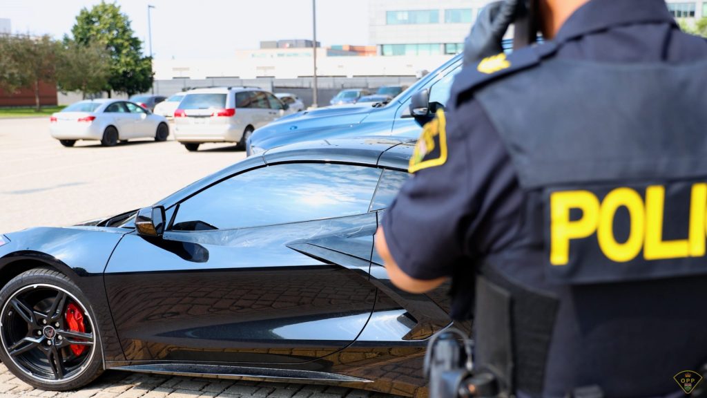 Ontario carjacking task force recover more than 170 stolen vehicles