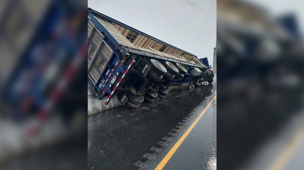 Truck carrying chickens crashes on Hwy. 401 in Milton; road closures near James Snow Parkway