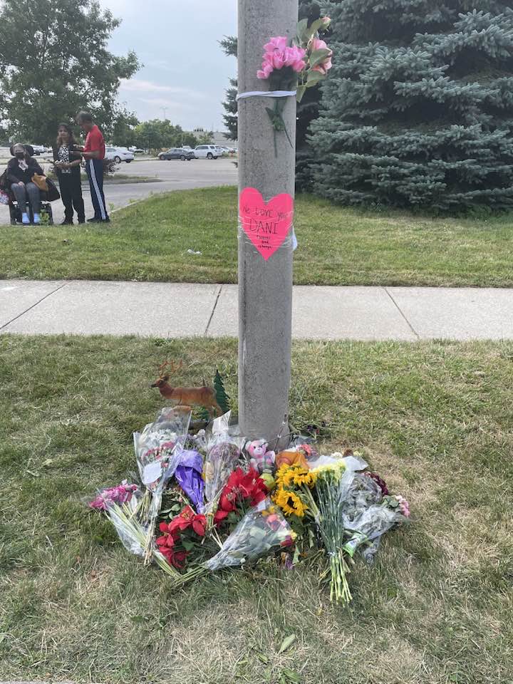 Memorial for Dani the Deer on Kingscourt Dr. Waterloo