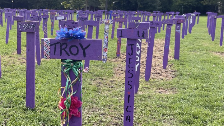 Memorial crosses for loved ones during Drug Poisoning Awareness Day events in Victoria Park.