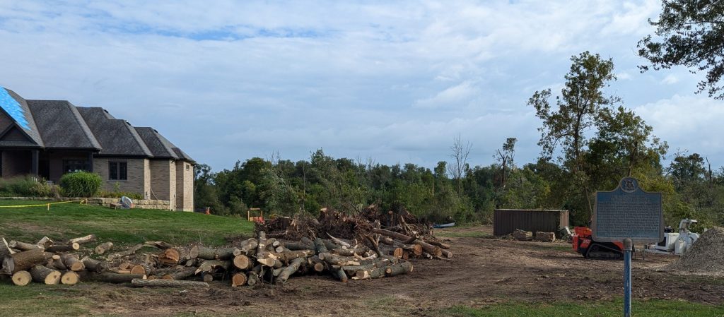 A tornado that upended trees in Ayr is a big mess for residents to clean up. (Matt Hutcheson/ 570 NewsRadio)