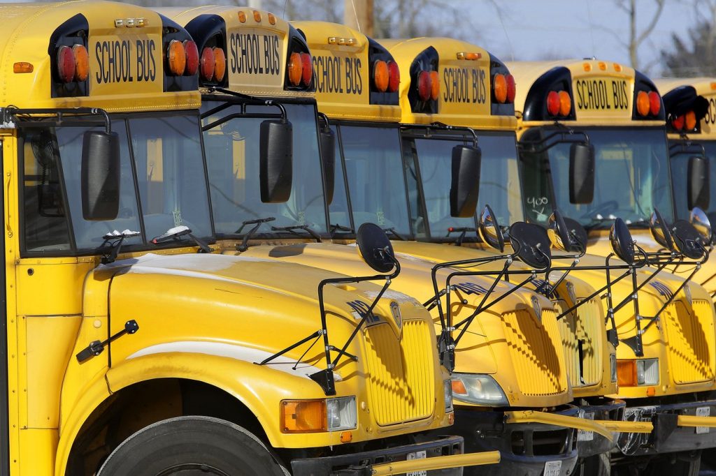 Public school buses.(AP Photo/Seth Perlman, File)