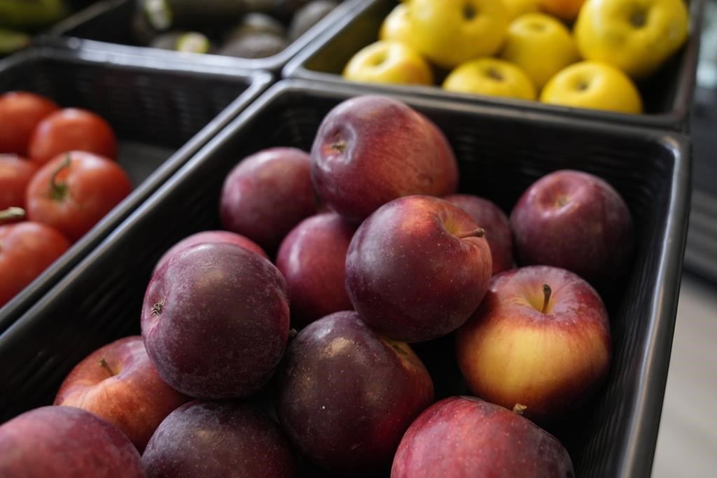 Harvest season has begun for apple orchards across Waterloo Region