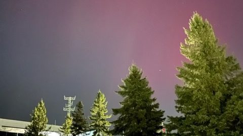 Aurora Borealis lights up night sky in Waterloo Region