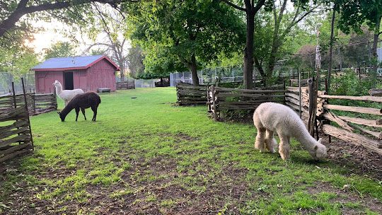 Public says animals at Eby Farmstead should be moved and space in Waterloo Park repurposed