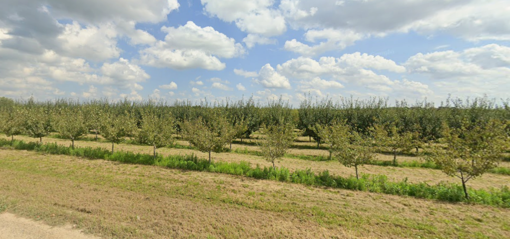 An orchard field owner by Prica Orchard Inc. (Google Maps)