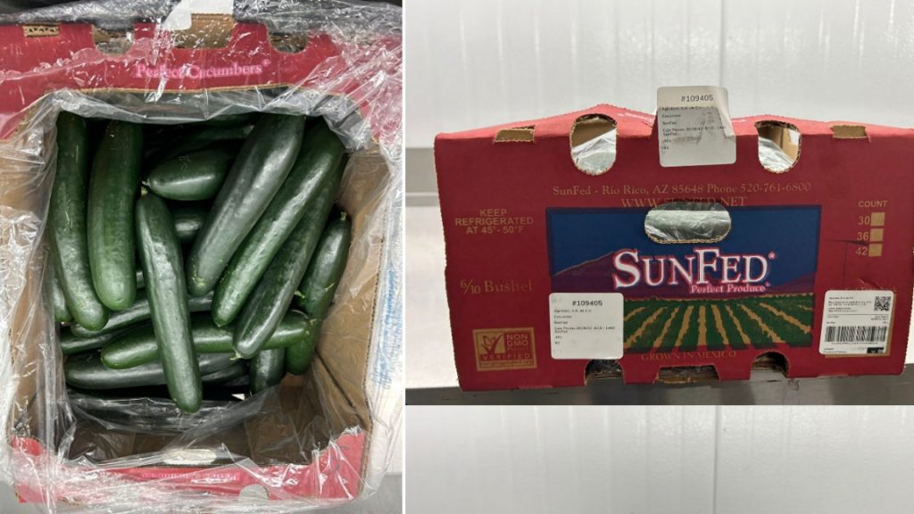 Cucumbers sold in Ontario, three other provinces recalled due to possible salmonella contamination