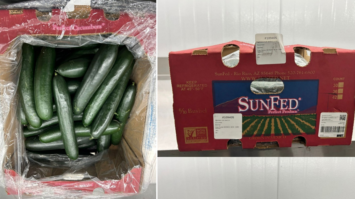 Cucumbers Sold In Ontario, Three Other Provinces Recalled Due To ...