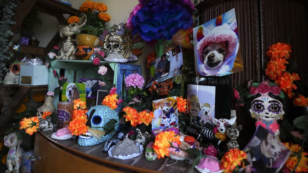 Downtown Kitchener BIA hosting Day of the Dead celebrations