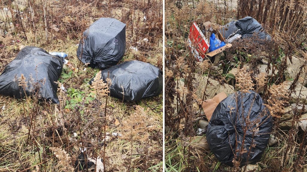 OPP bag litterbug dumping garbage along country road near Stratford