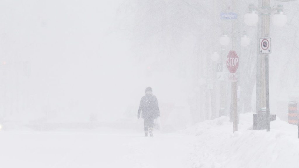 A pedestrian walks through snow. (THE CANADIAN PRESS/Adrian Wyld)