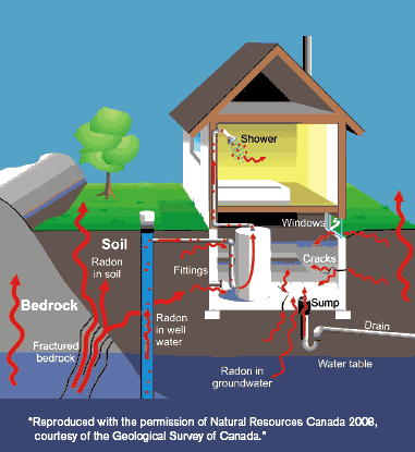radon test kit