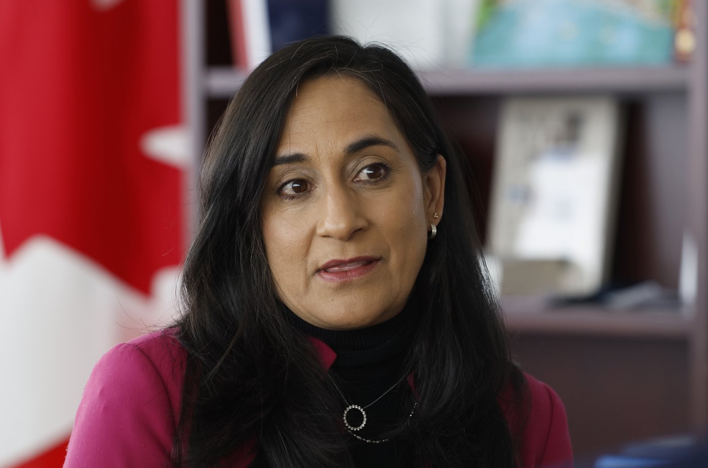 Canada sending naval patrol vessel to Greenland for opening of new consulate: Anand