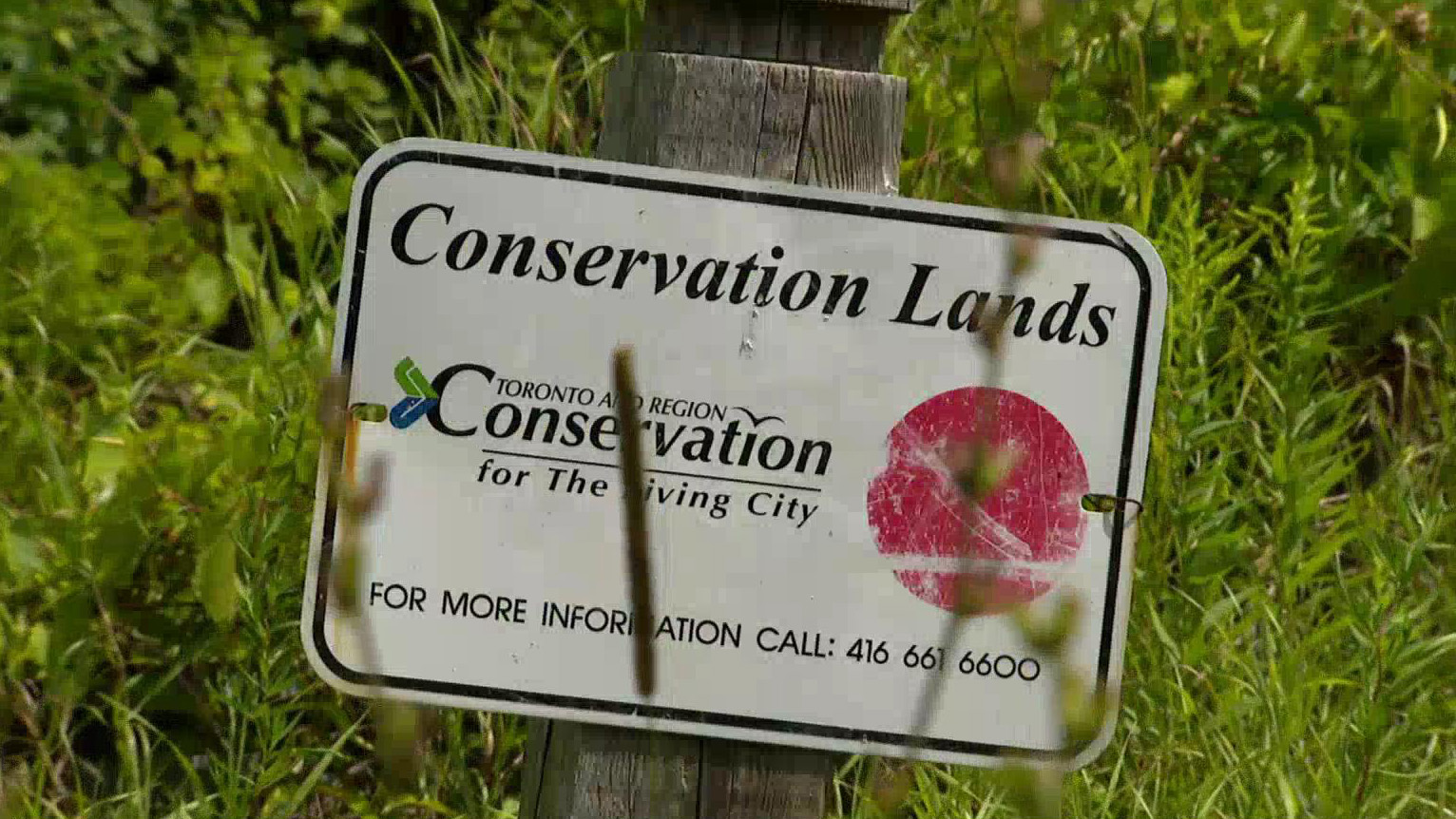 Ford government faces pushback for plan to cut majority of conservation authorities