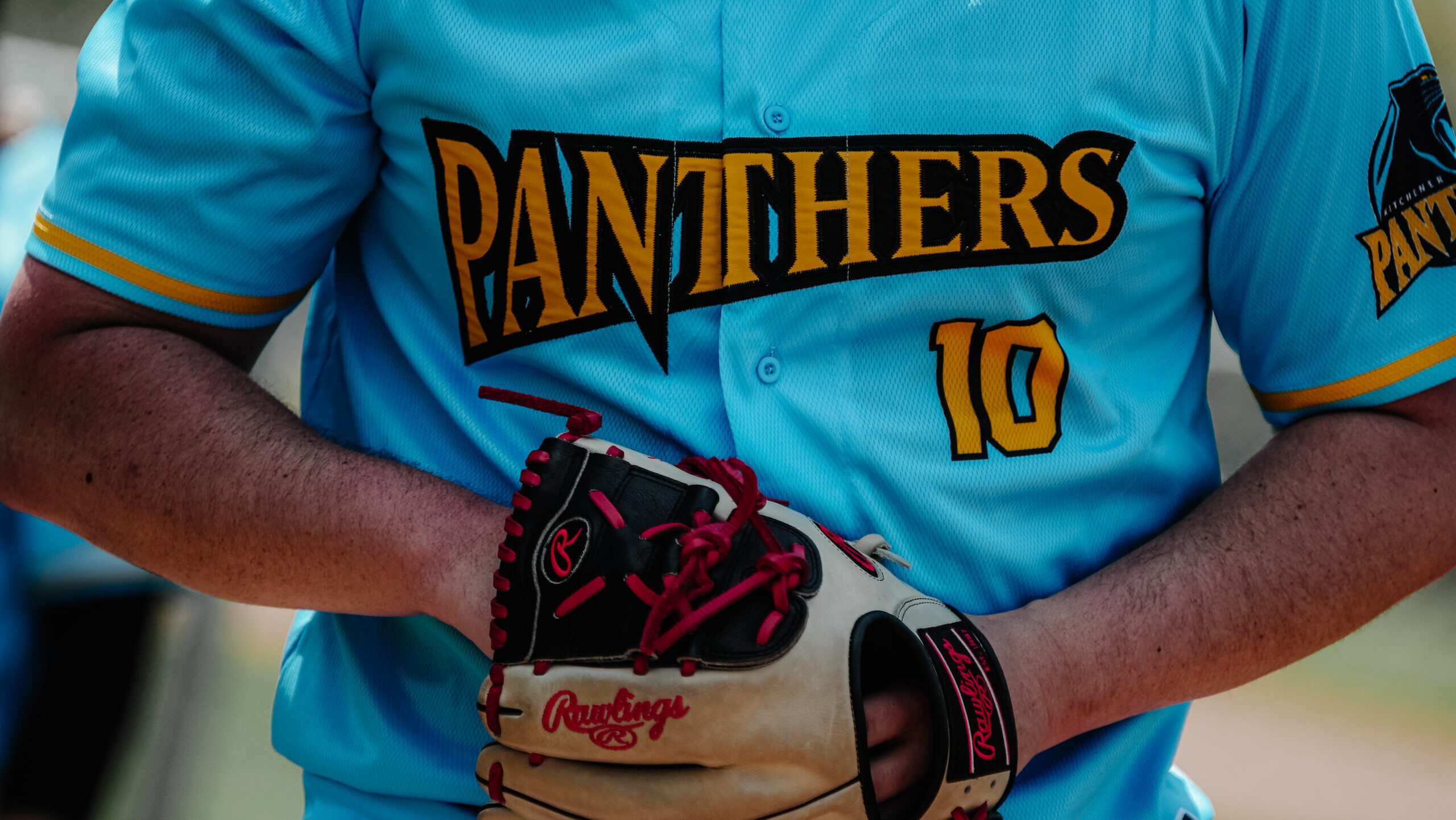 Panthers slide continues with close road loss to Hamilton