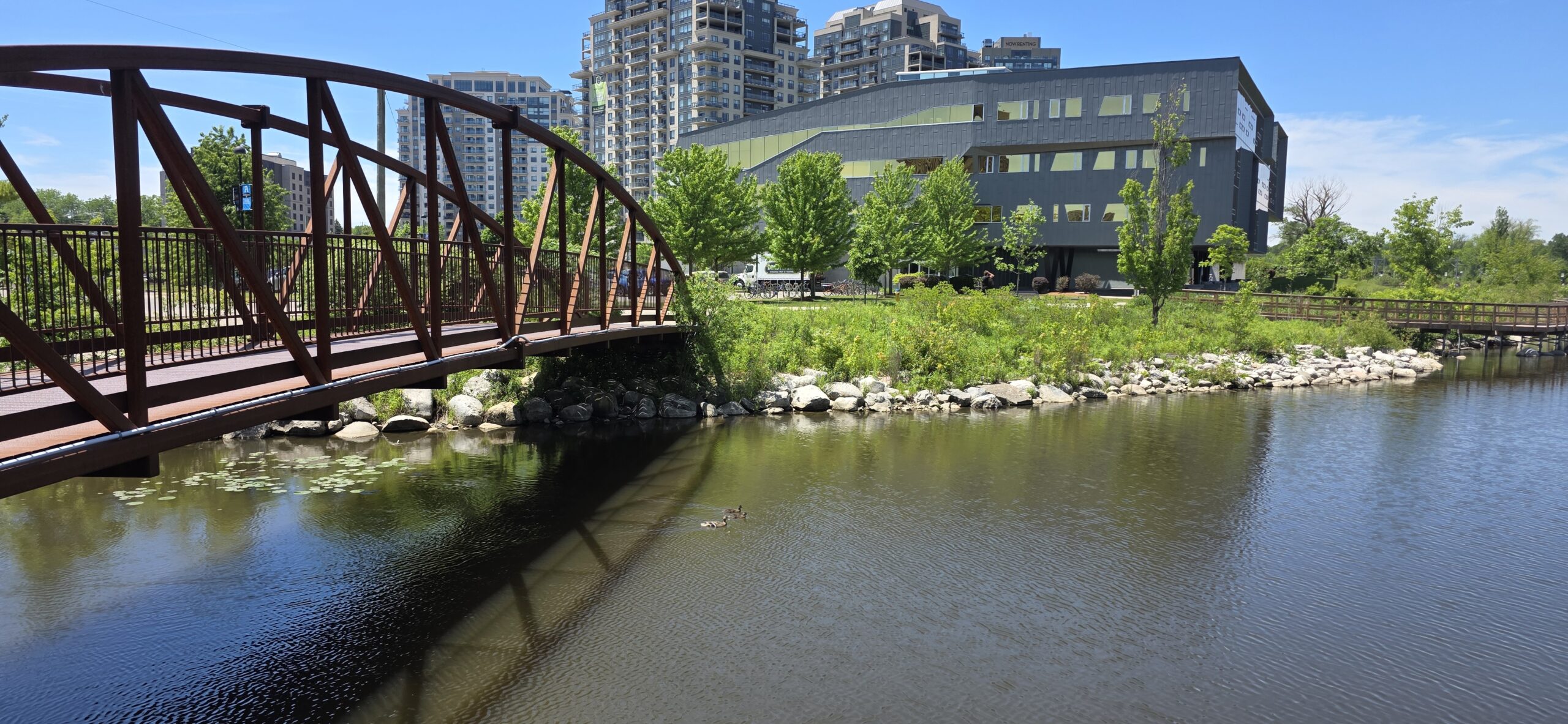 New festival area, water features planned for long-term future of Waterloo Park