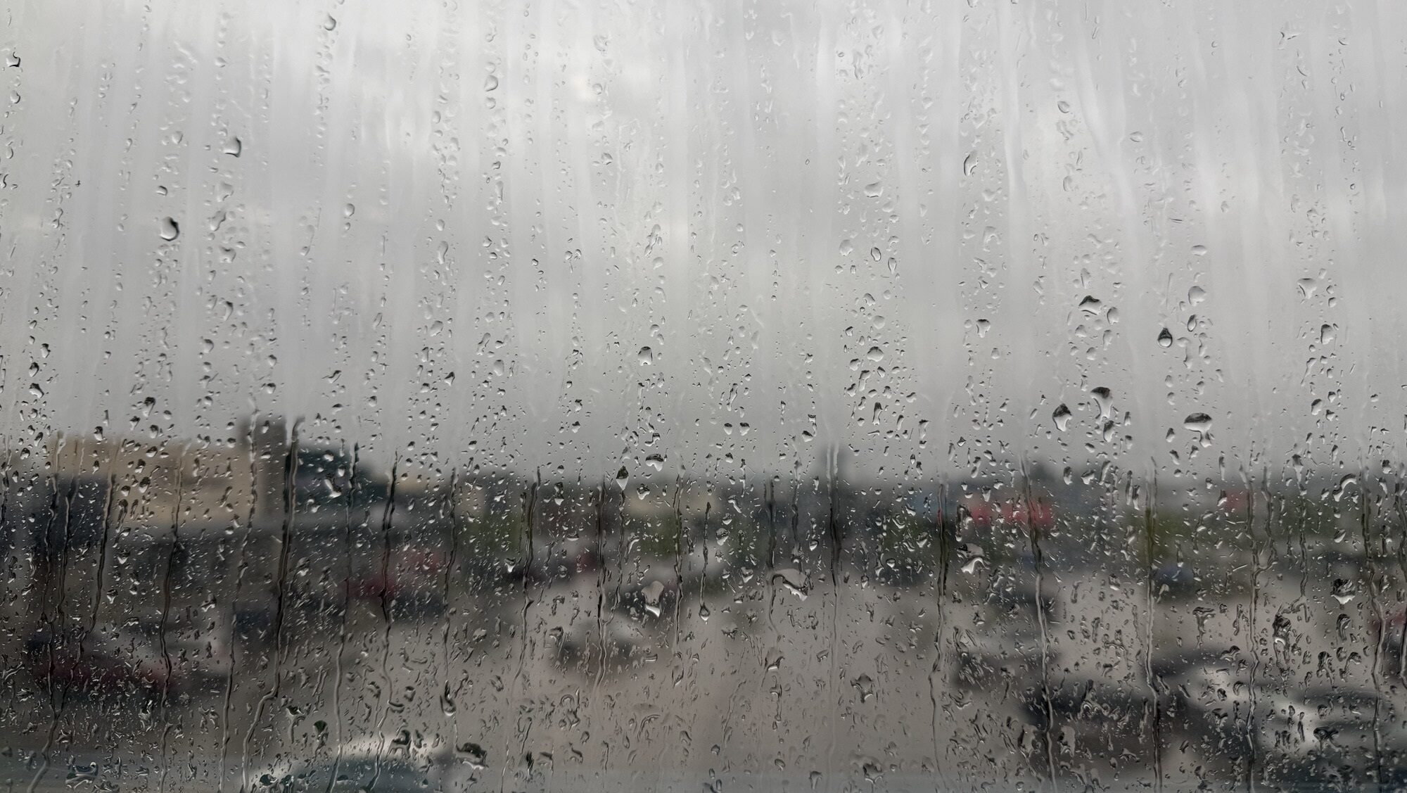Extra wet June in Waterloo Region, but average temps despite start of heat wave