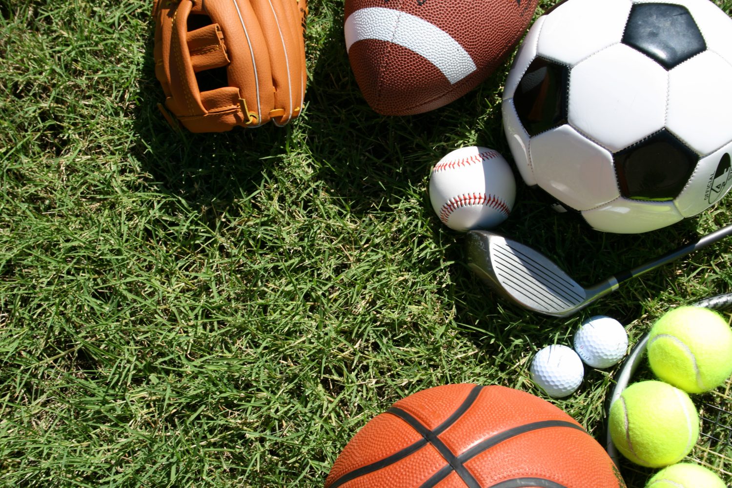 Select Kitchener sports fields now open CityNews Kitchener