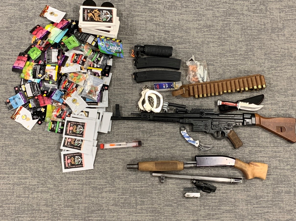 Guelph man faces firearms, human trafficking charges CityNews Kitchener