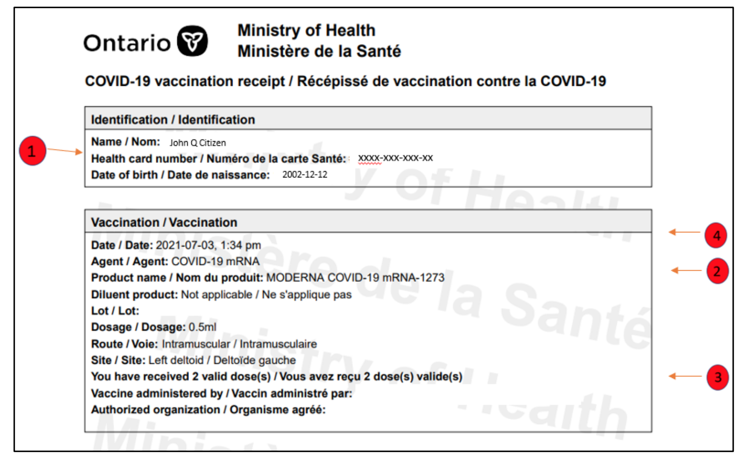 How you can access your COVID vaccine receipts CityNews Kitchener